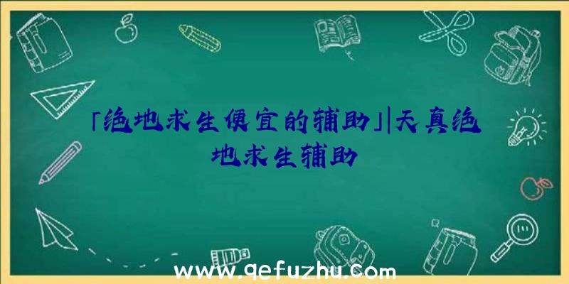 「绝地求生便宜的辅助」|天真绝地求生辅助